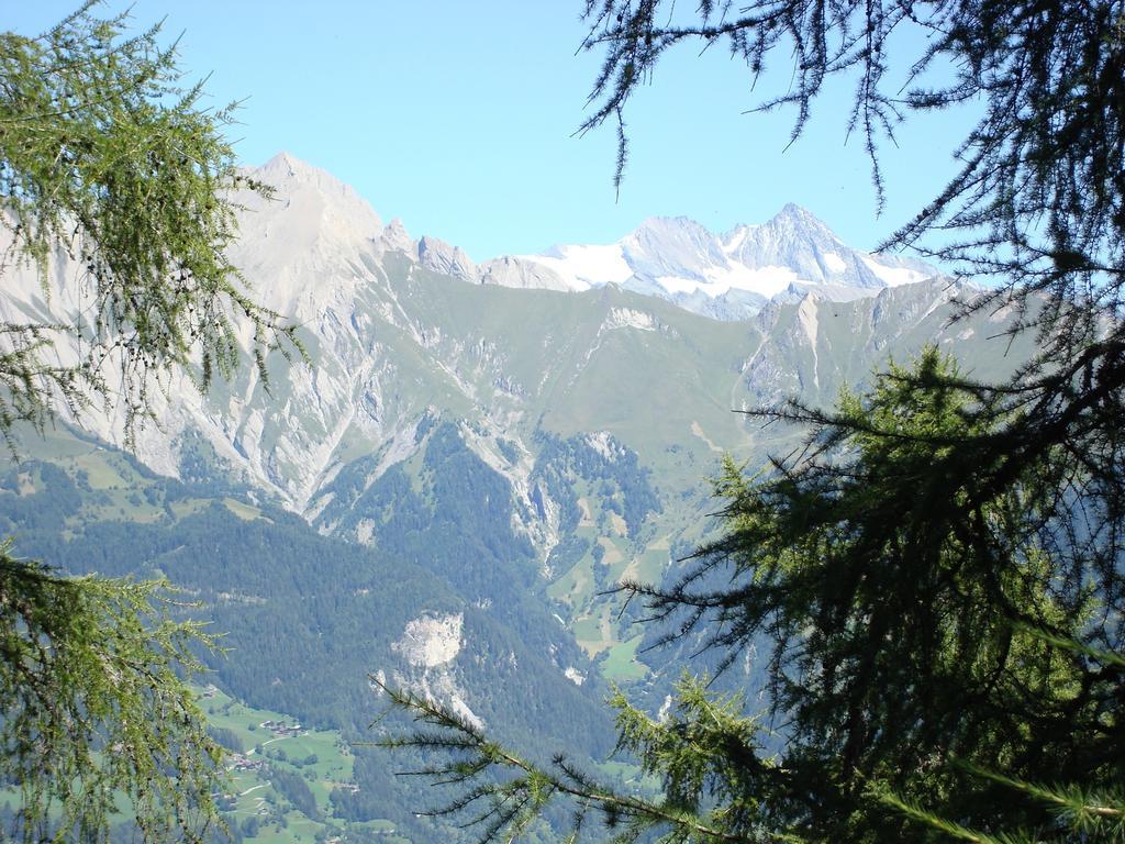 Apartments Poetscher Matrei in Osttirol Kültér fotó